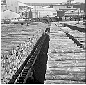 souvenirs en noir et blanc (640)